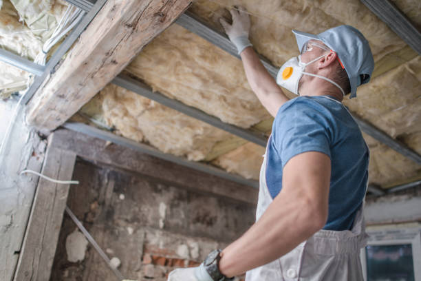 Best Insulation Replacement Services  in Fulton, IL