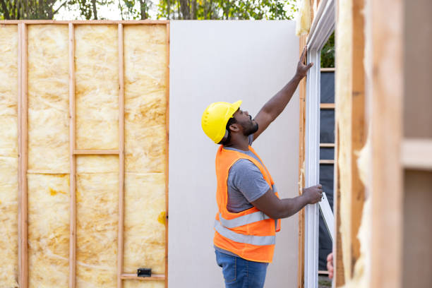 Best Attic Insulation Installation  in Fulton, IL