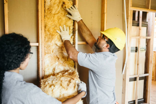 Best Crawl Space Insulation  in Fulton, IL