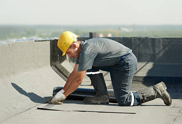 Best Blown-in Insulation  in Fulton, IL