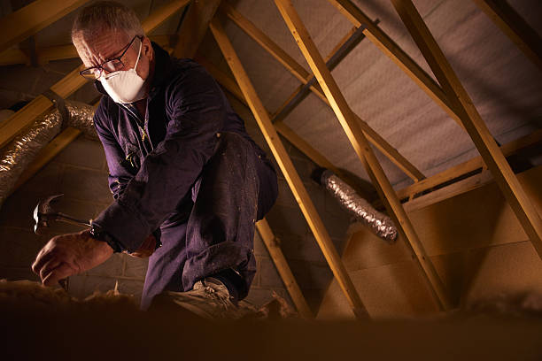 Best Best Insulation Companies  in Fulton, IL