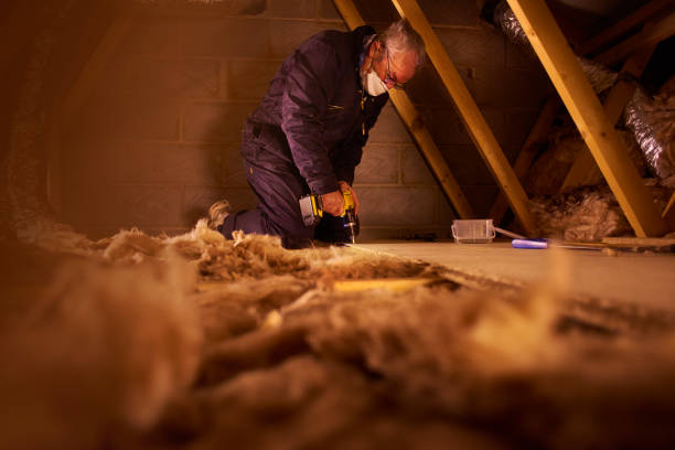 Garage Insulation Installation in Fulton, IL